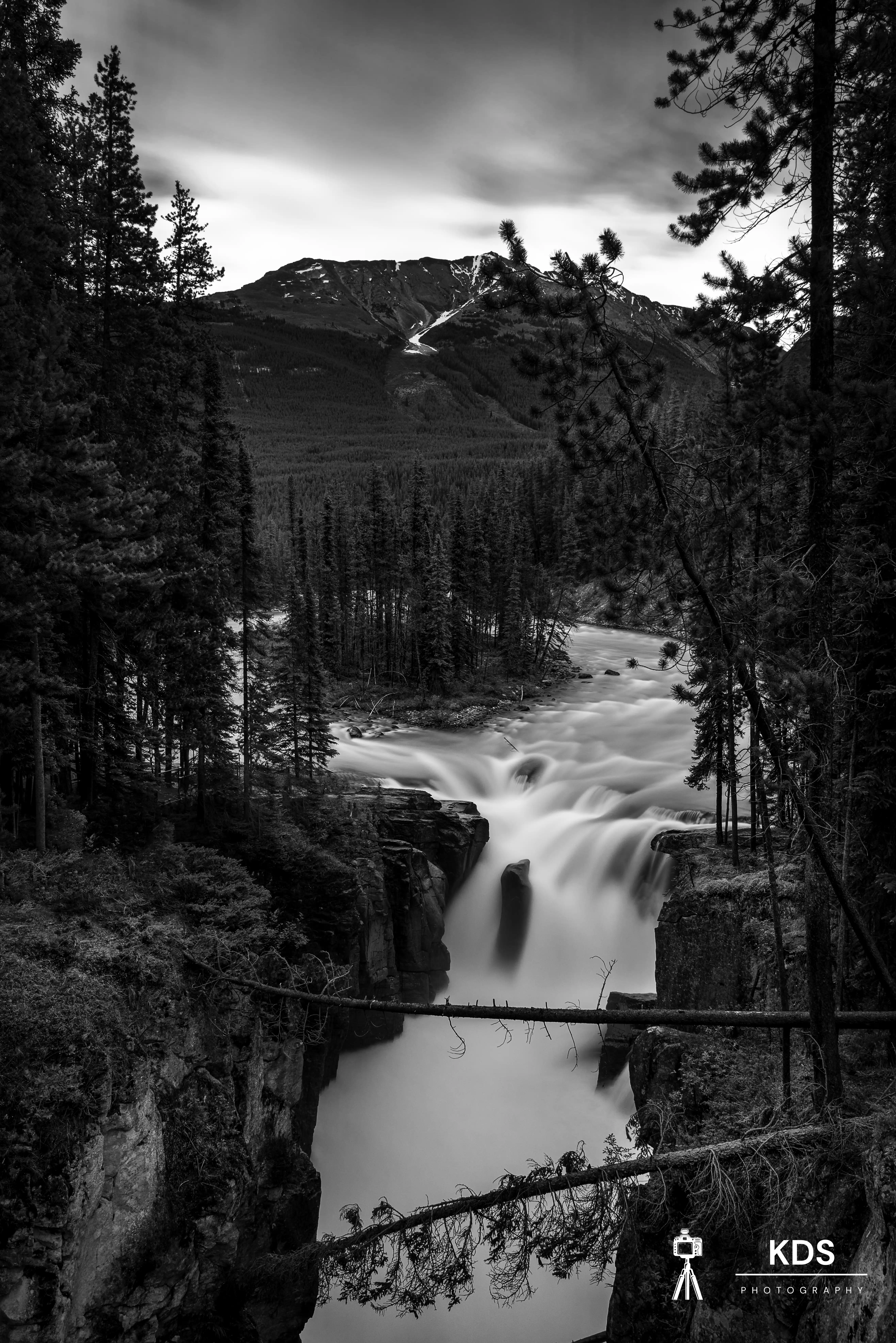 Sunwapta Falls B&W